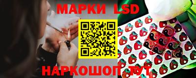 прущие грибы Рыбинск