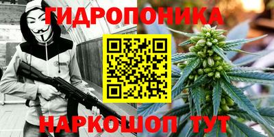 прущие грибы Рыбинск