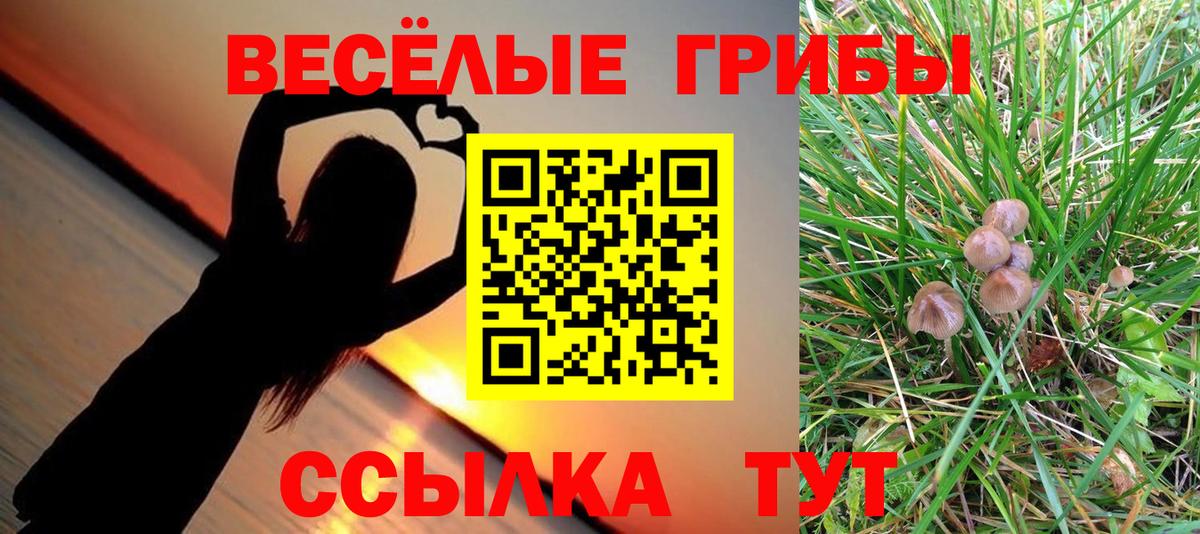 Пенза  Псилоцибиновые грибы Cubensis  Вход с VPN 